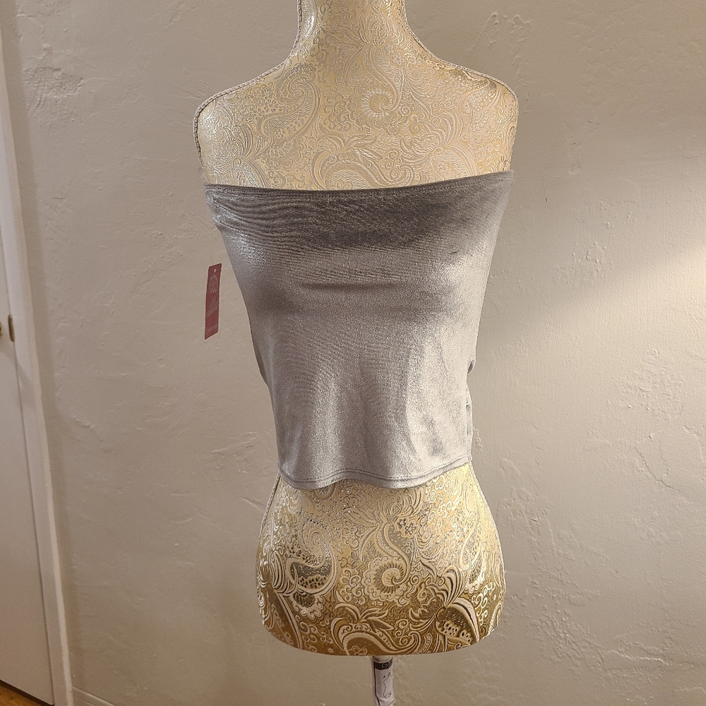 Heart and Hips Silver Strapless/Tube Top - Size M